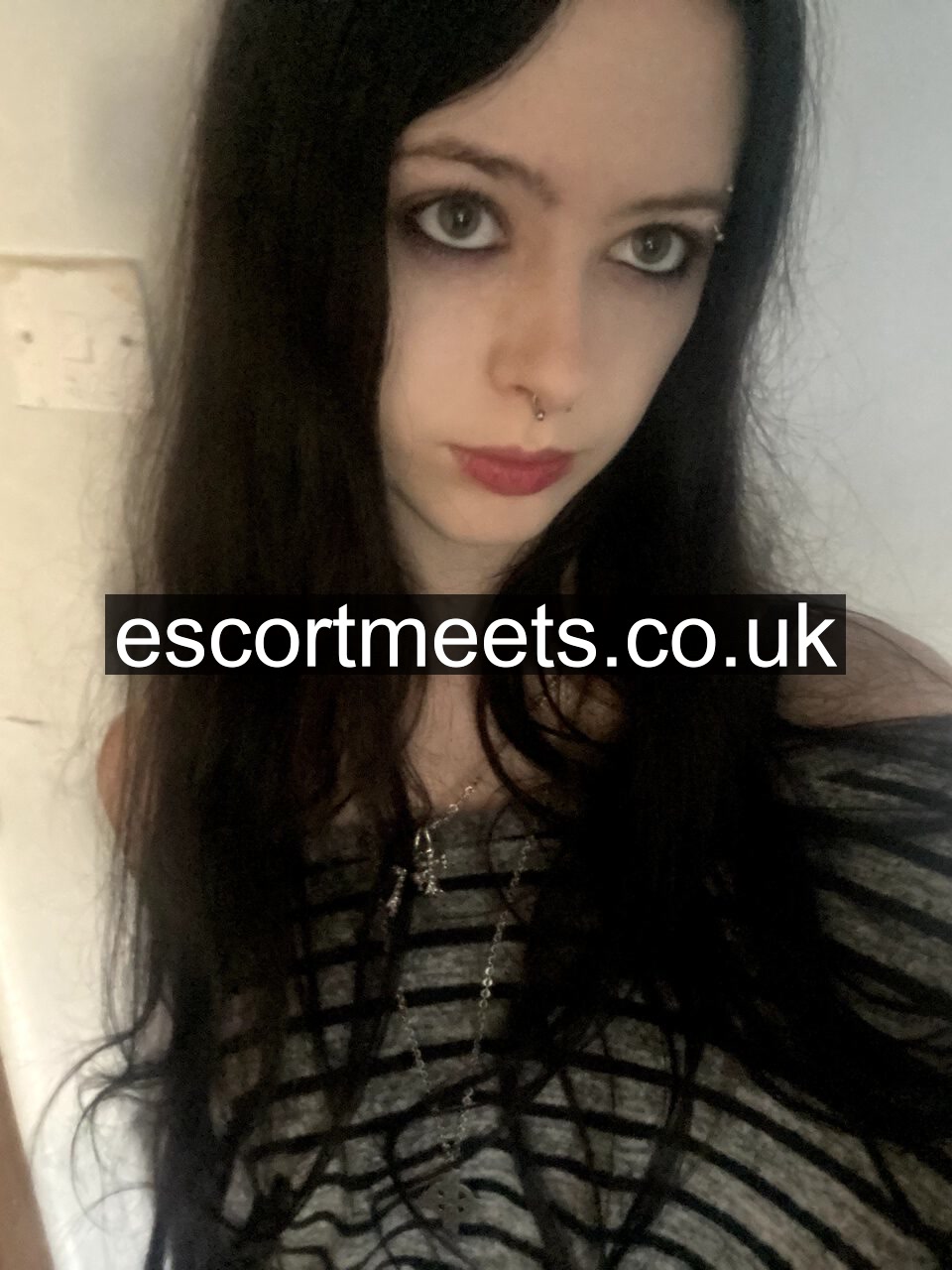 Izzy photo 3