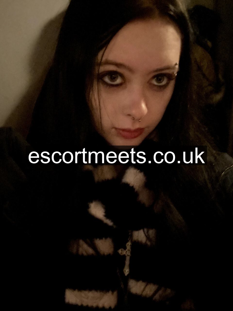Izzy photo 4